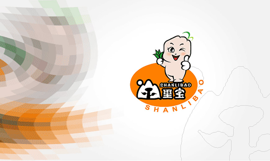 vi形象設計規范-煙臺山里寶企業品牌LOGO設計