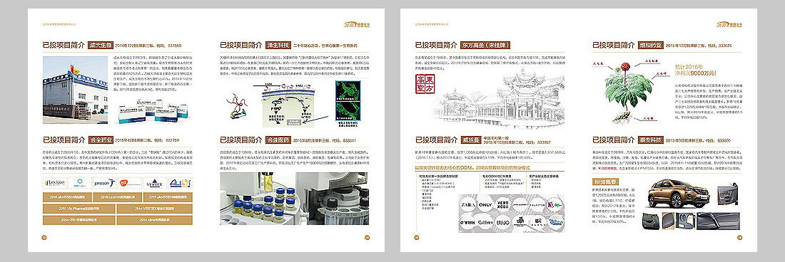 投資公司宣傳冊設計-6