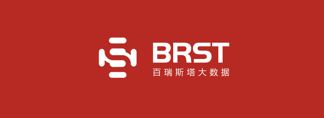 上海百瑞斯塔大數據公司LOGO設計-1